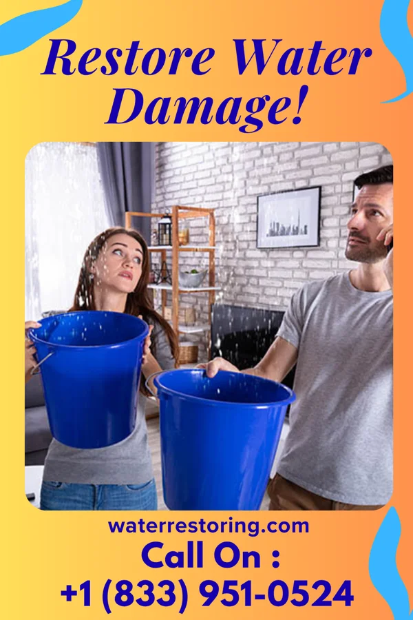 water restoration North Water Removal & Associates Lincoln
